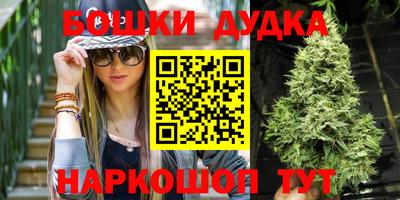МДПВ Кингисепп