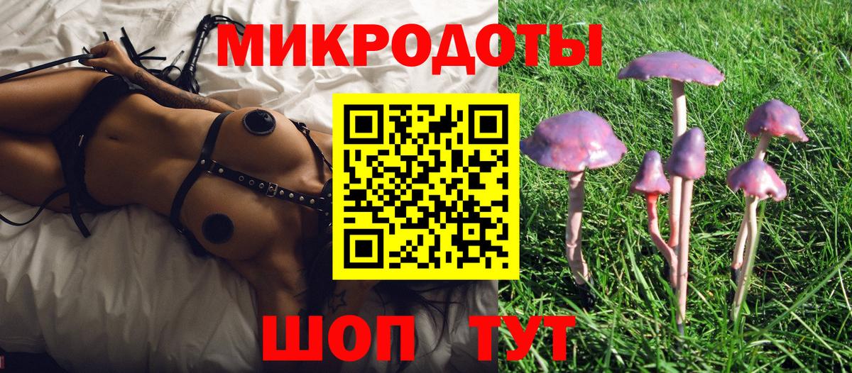 Зерноград  Псилоцибиновые грибы GOLDEN TEACHER  Псилоцибиновые грибы Magic Shrooms  Вход с VPN 